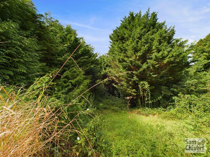 Photo 22