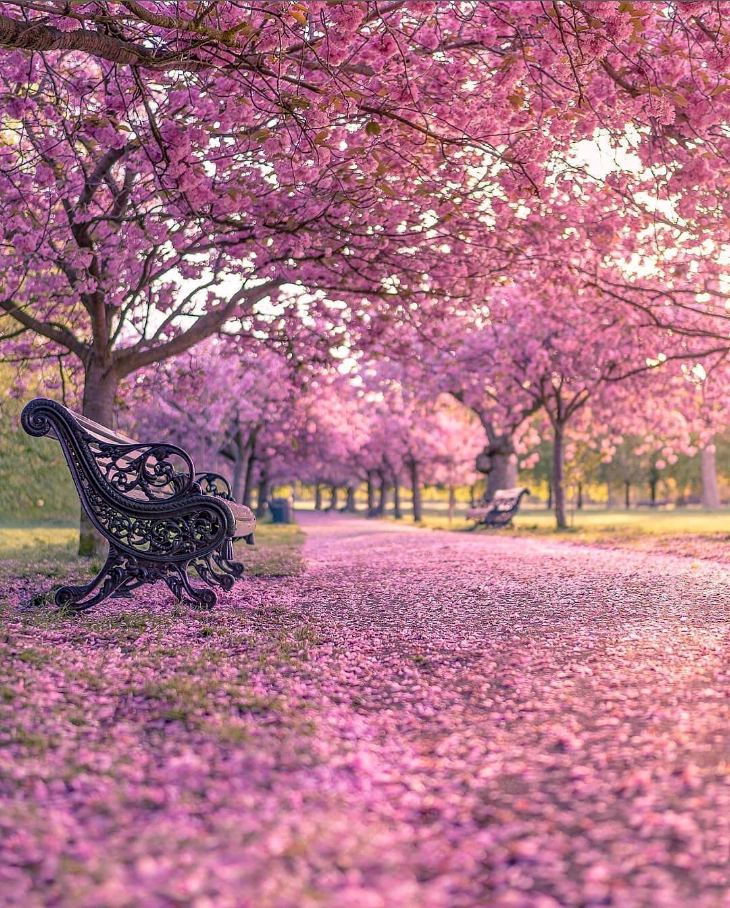 Screenshot 2024-10-27 083421