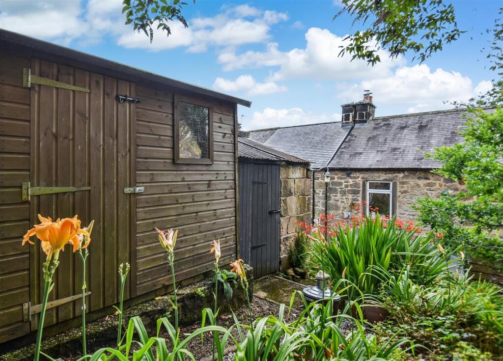 Timber Shed