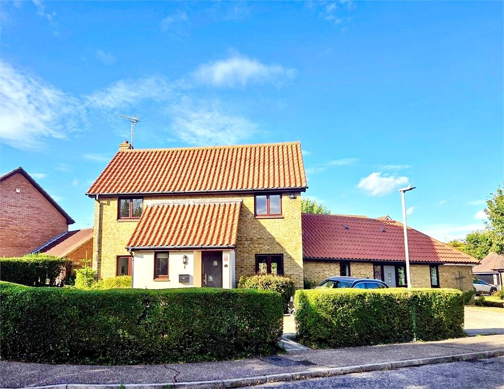 Main Image
