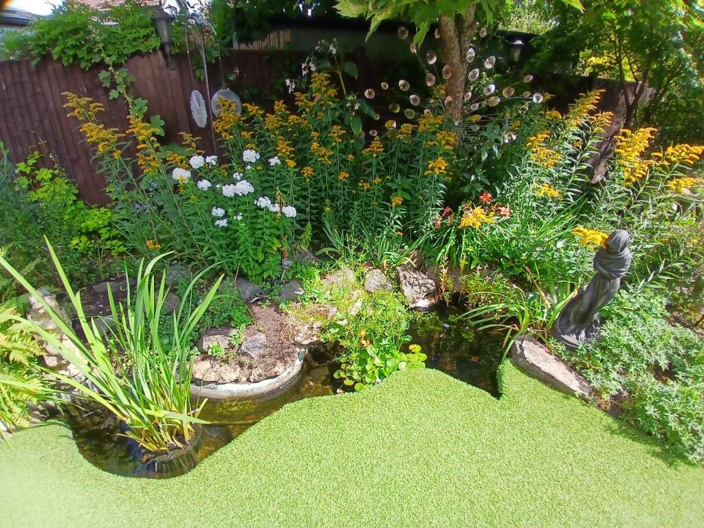Garden Pond.jpg