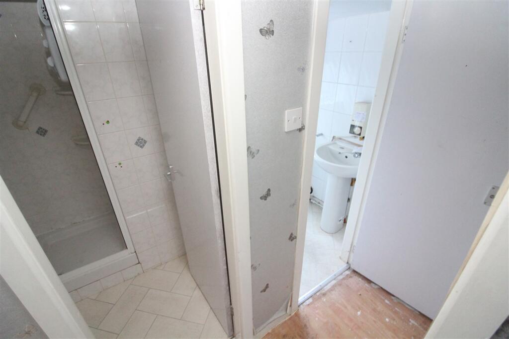 IMG 7537  Medium  T202512231048.jpg