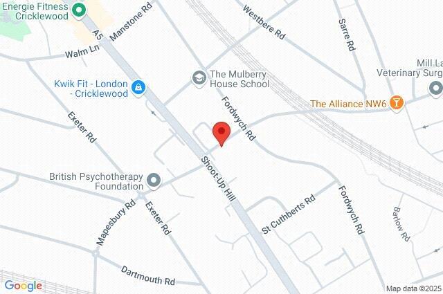 Google Maps Image