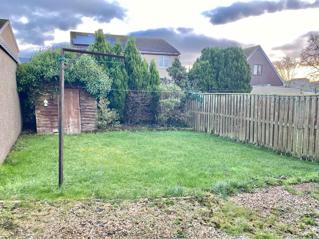 Back Garden
