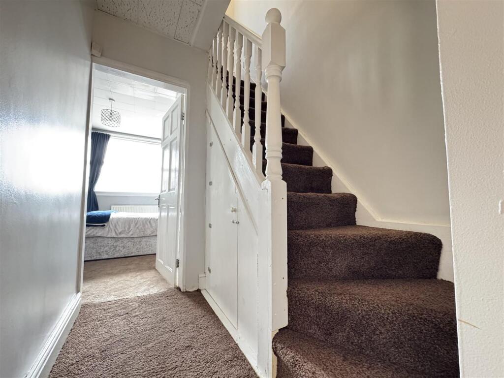 IMG_5516 (Large).JPG