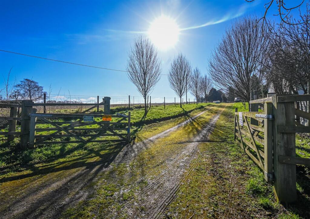 The Lotus Studio-15.jpg