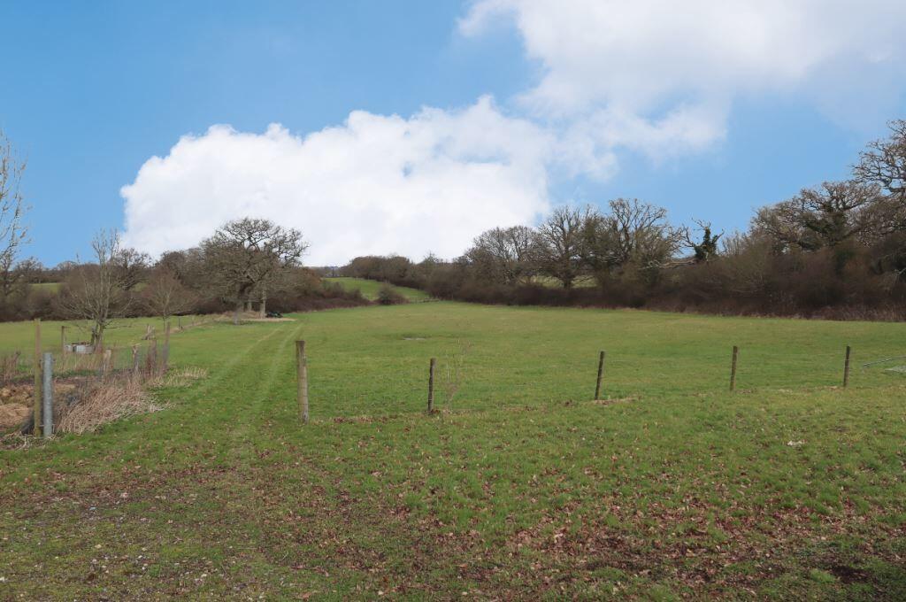 Field