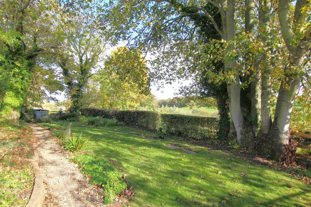 Rear Garden.JPG