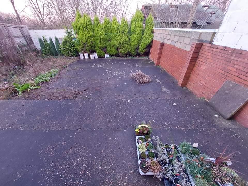 received_652823269088266.jpeg