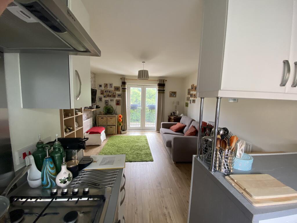 2024-07-24  15-54-46 IMG 5233~2 T202407241712.jpeg