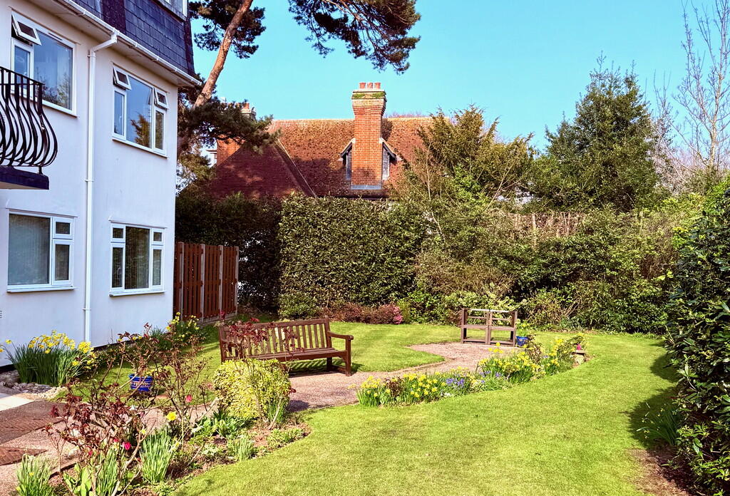 Garden 2