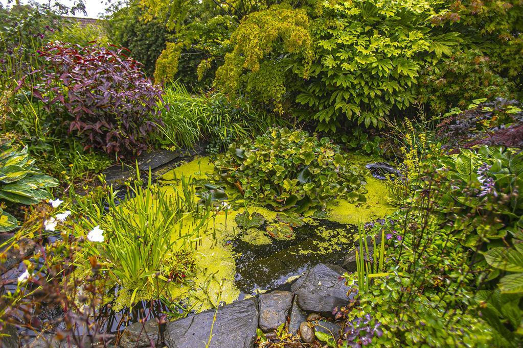 GARDEN DETAIL