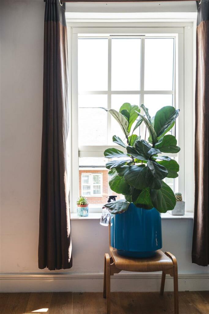 8 Wilmot Road-23.jpg