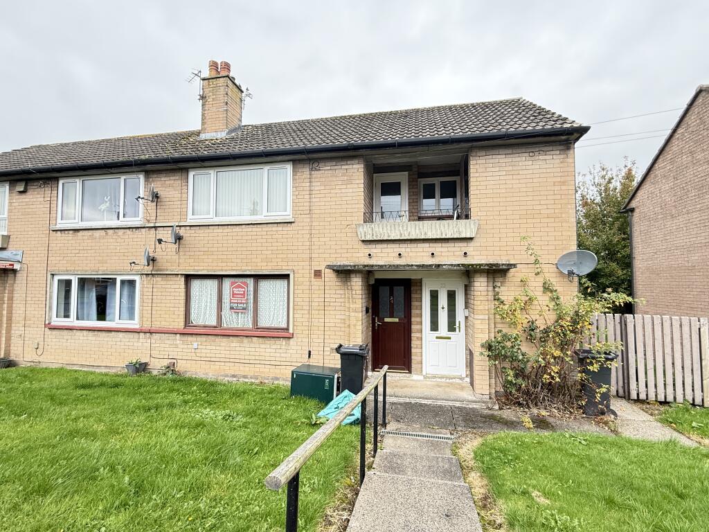 IMG 1575 T202510021513.jpg