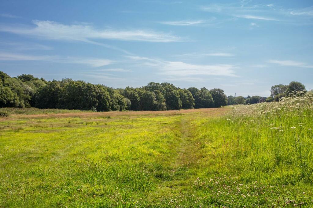 Henfield Common-1.jpg