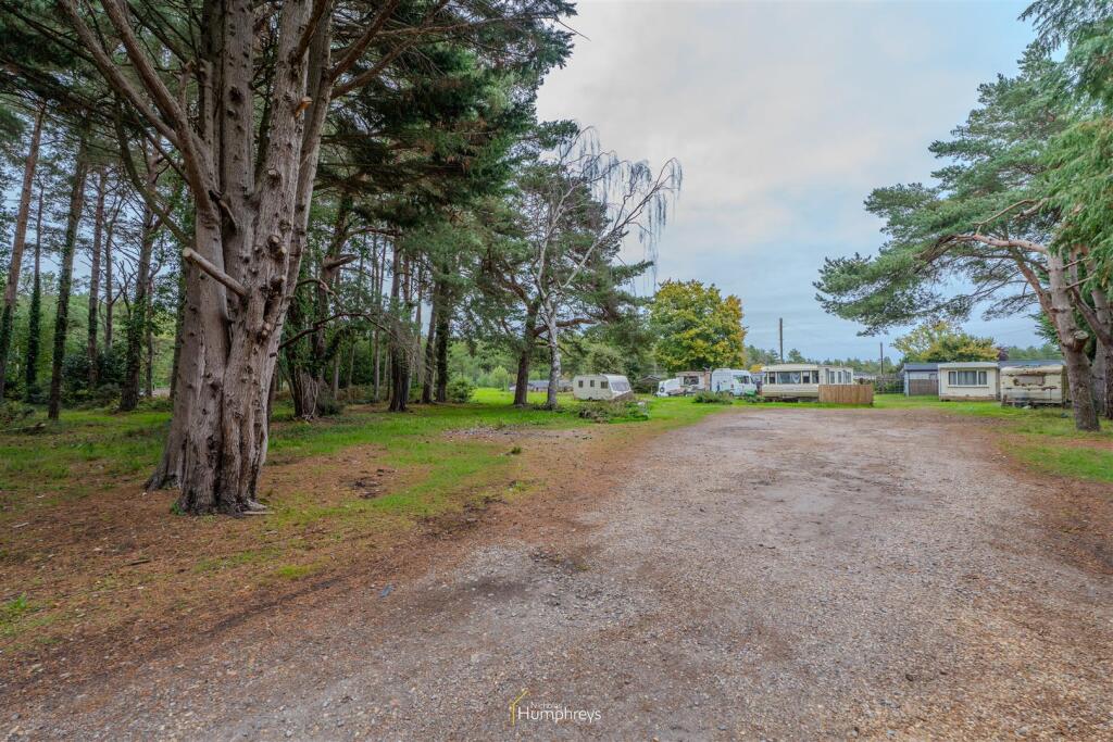 Forest View-3.jpg