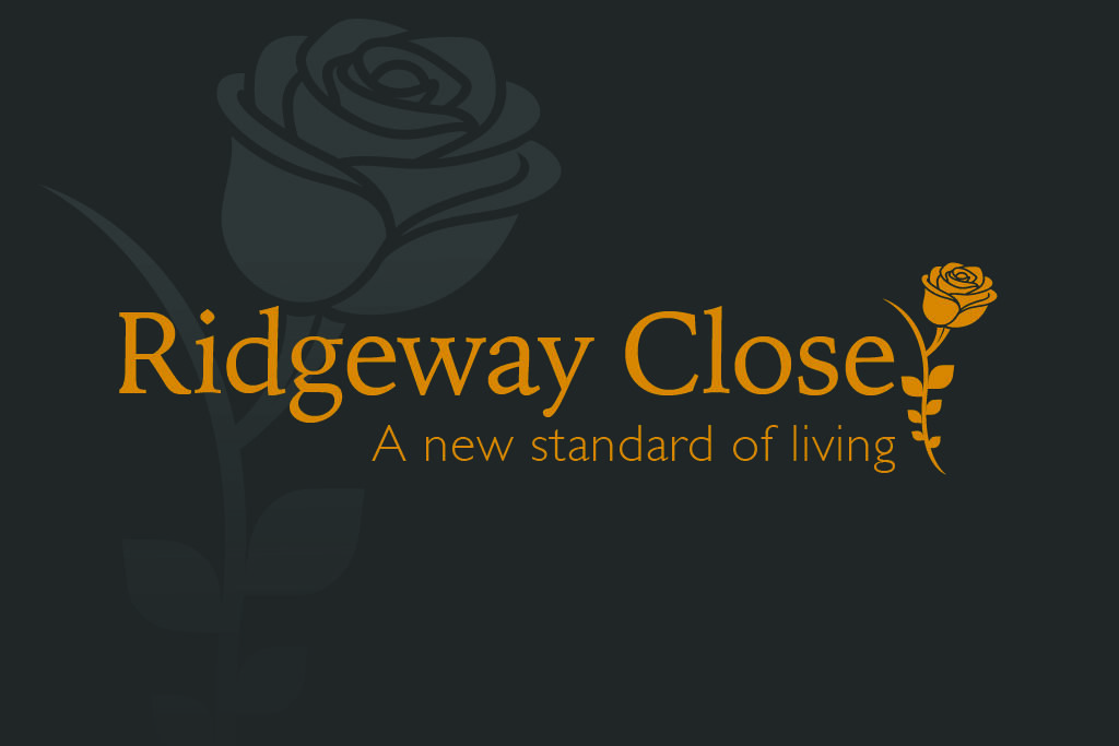 Development logo