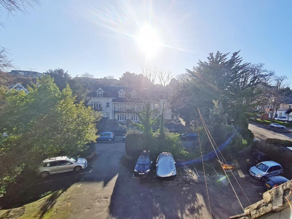 Late Afternoon View