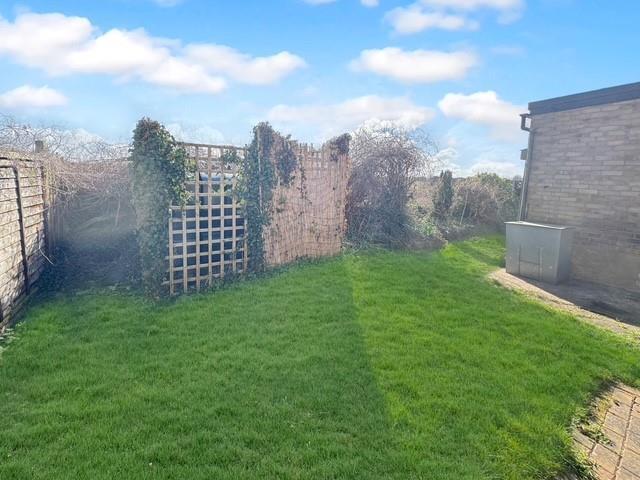 Garden.jpg