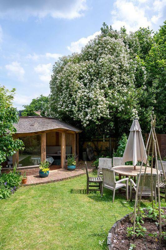 Rob's sunny garden shot 2.jpeg