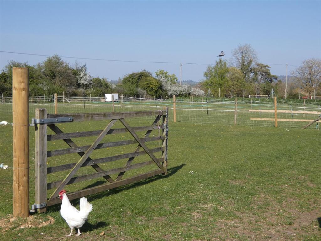 Paddock