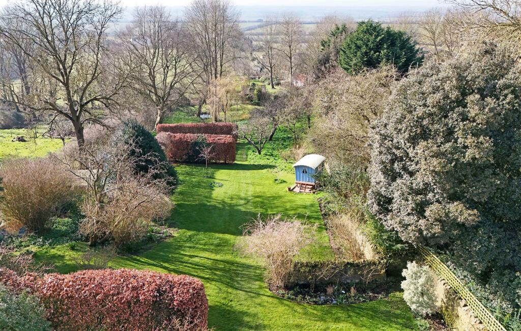 Drone garden 2.jpg