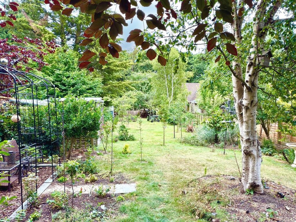 GARDEN 1.jpg