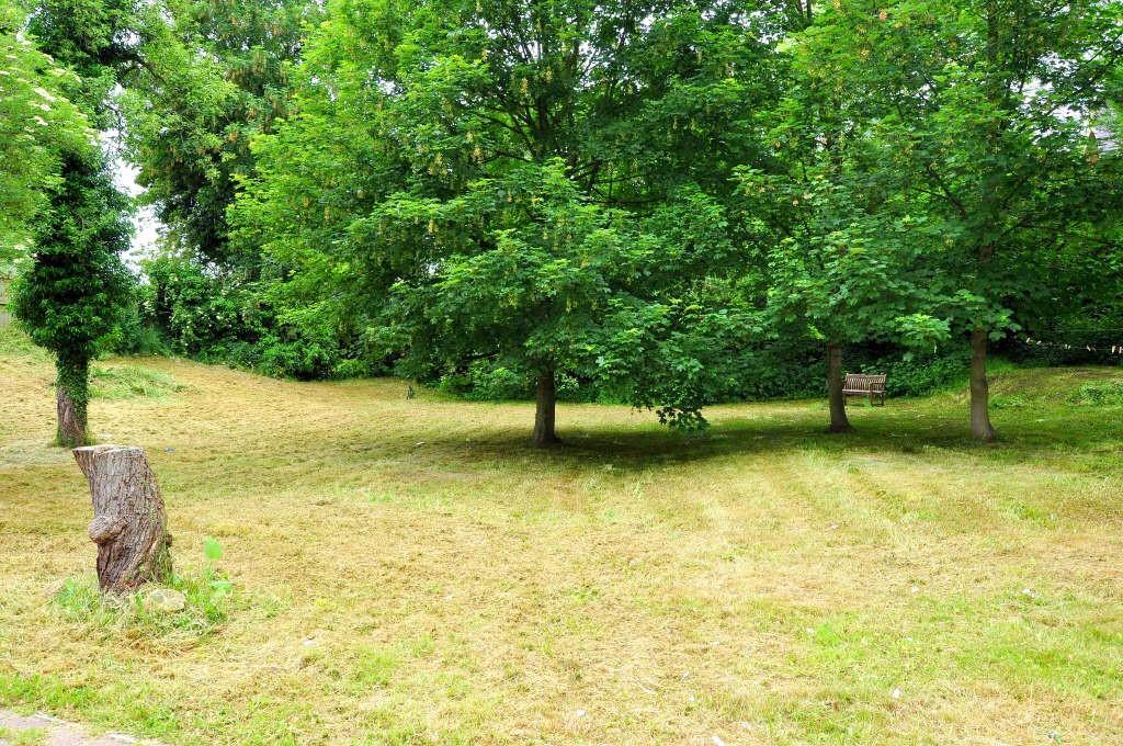 Luke Miller &amp; Assoc