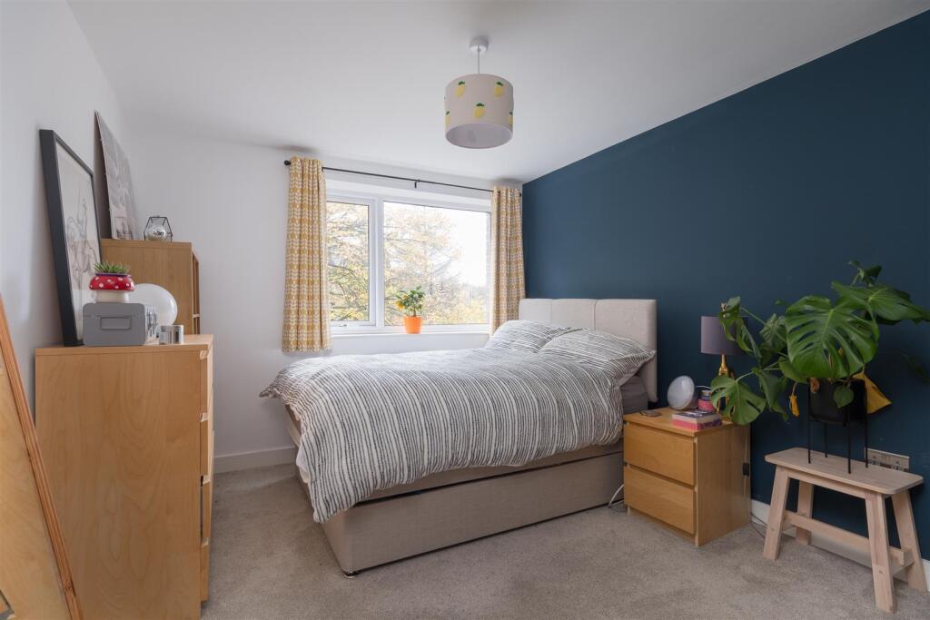 untitled (9 of 13).jpg