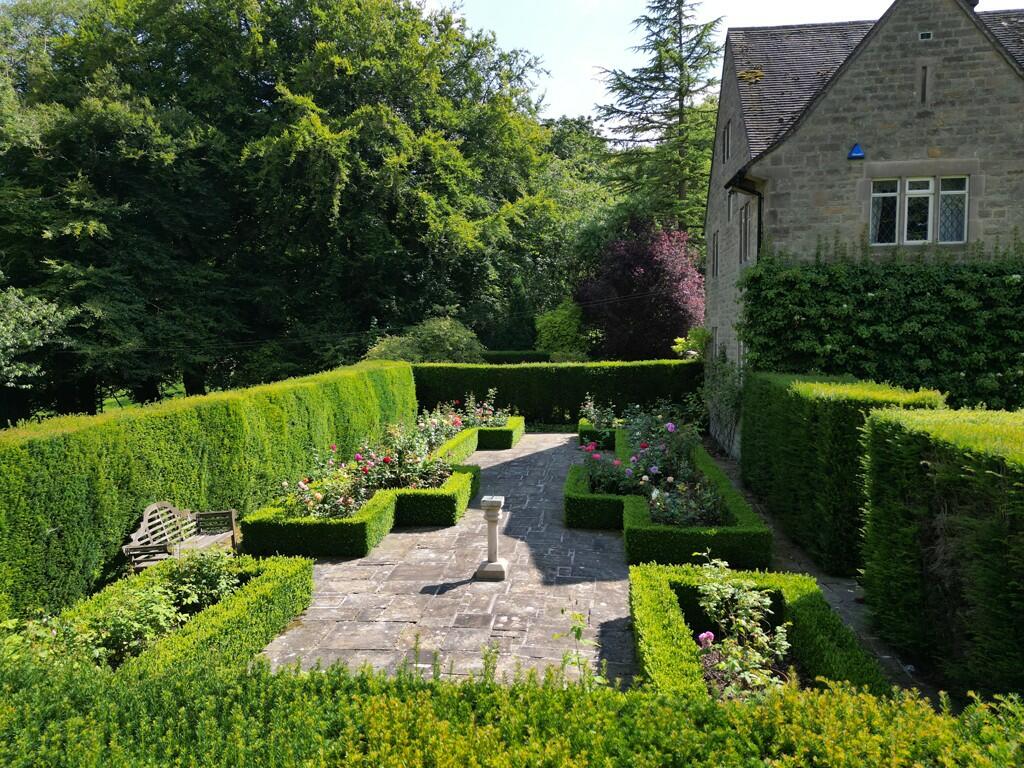 Rose garden
