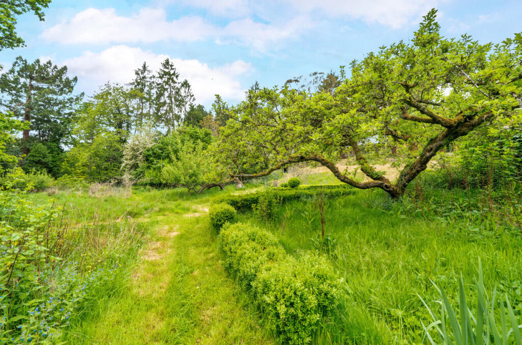 1295112-54-682641...