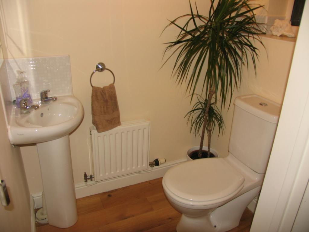 Downstairs Cloakroom