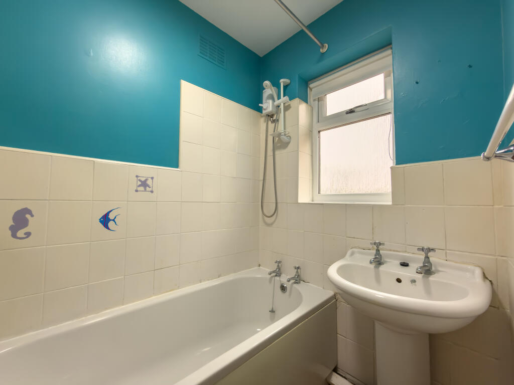 IMG 7782 T202511161807.jpg