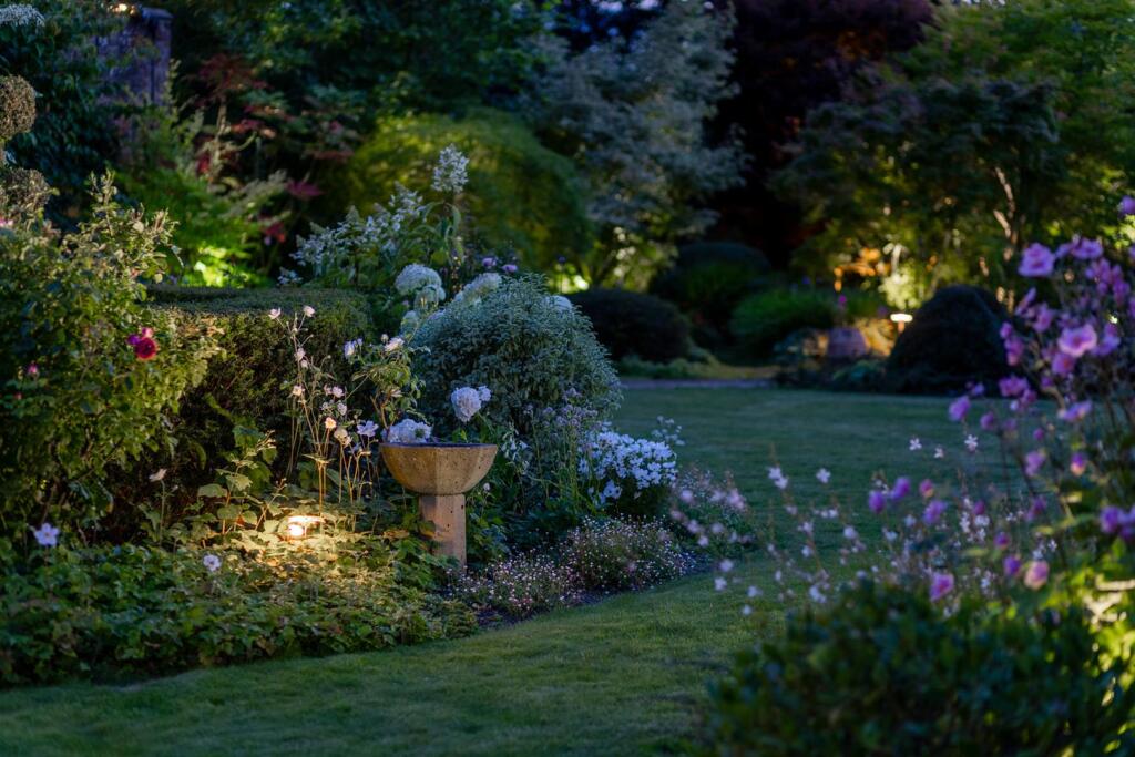 Garden Illuminated at Dusk