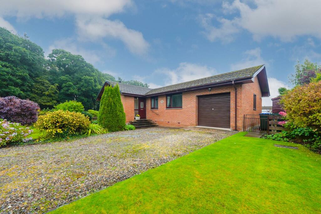 59 Scott Street BLUE-3.jpg