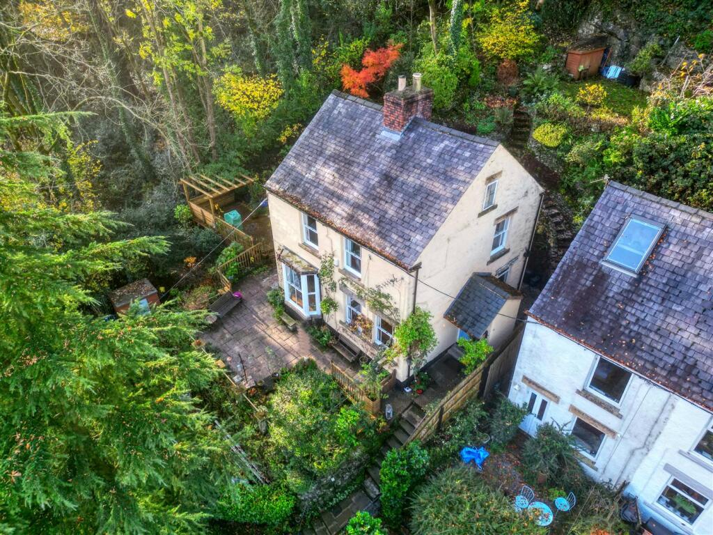 Drone - home and gardens.jpg