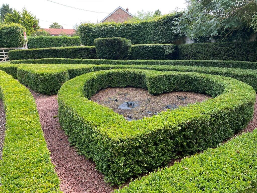 20250801 082504000 IOS 1  Medium  T202508111721.jpg