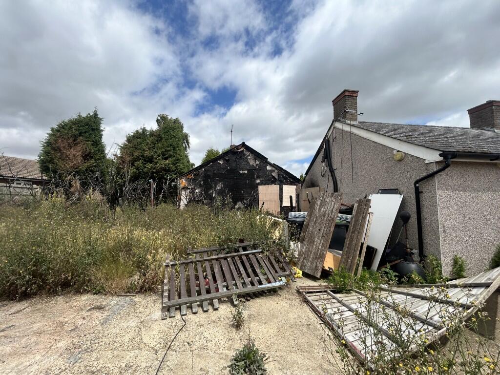 4  Medium  T202507021056.jpg