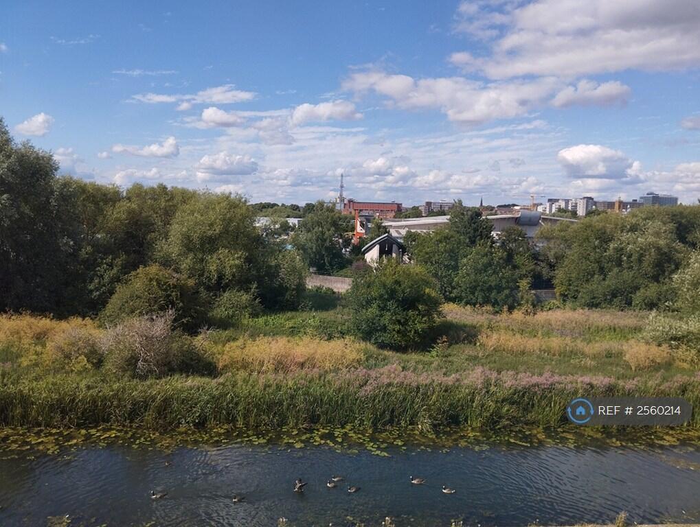 View From Living Room Window 