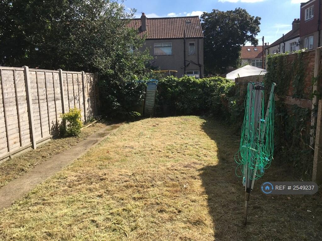 Back Garden 