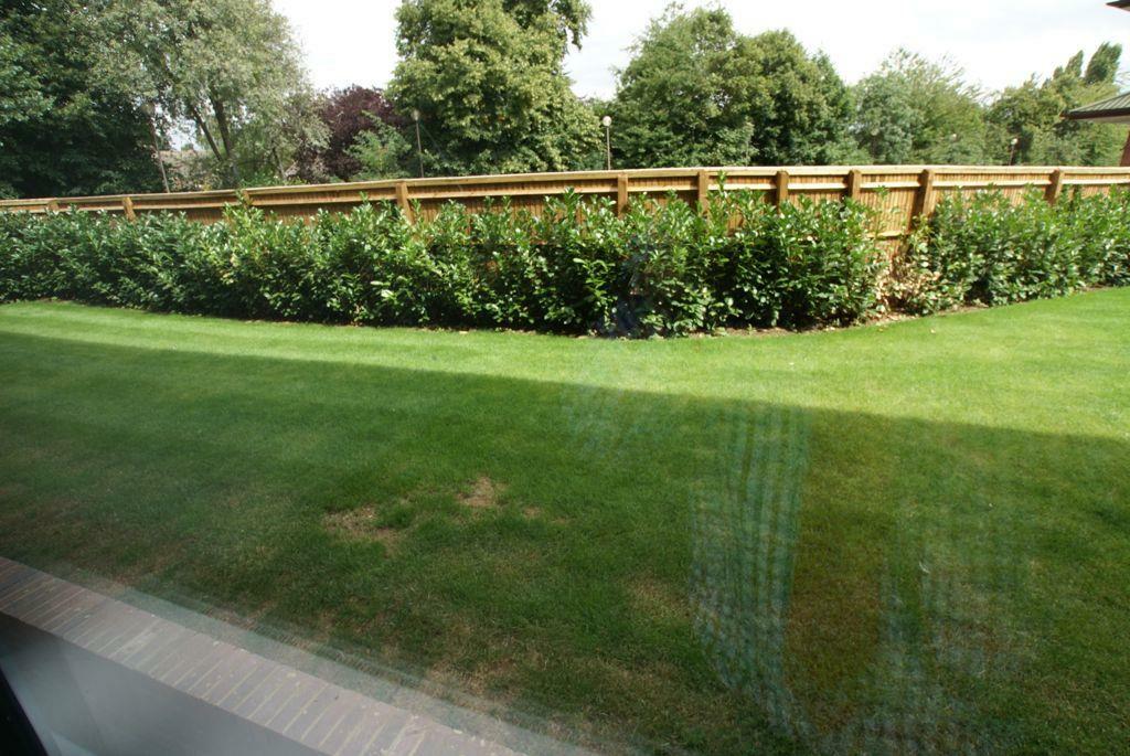 Shared garden