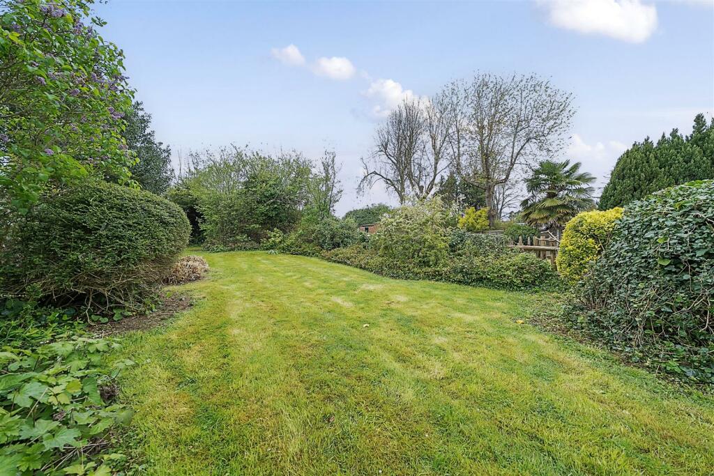 Garden 2.jpg