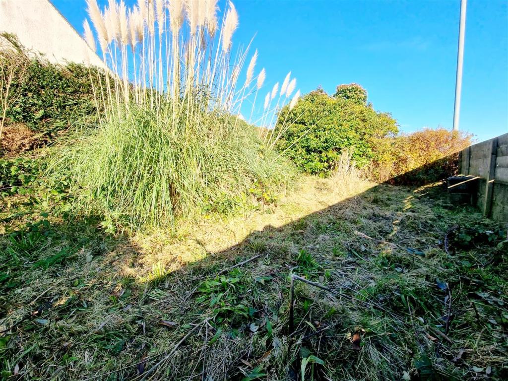 Extended Garden.jpg