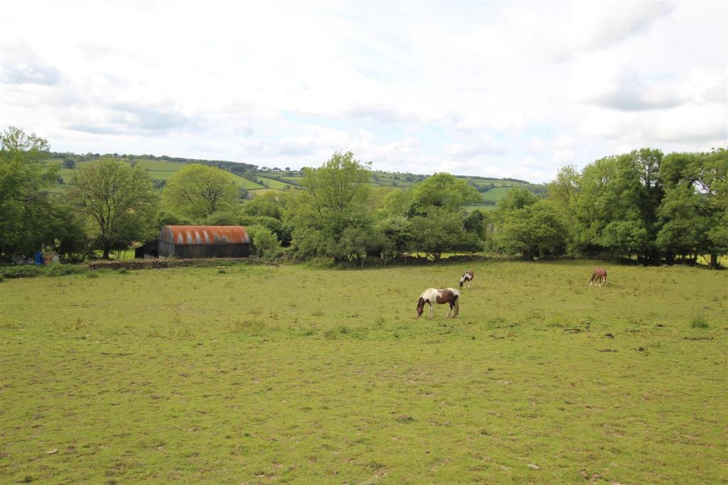 The Land