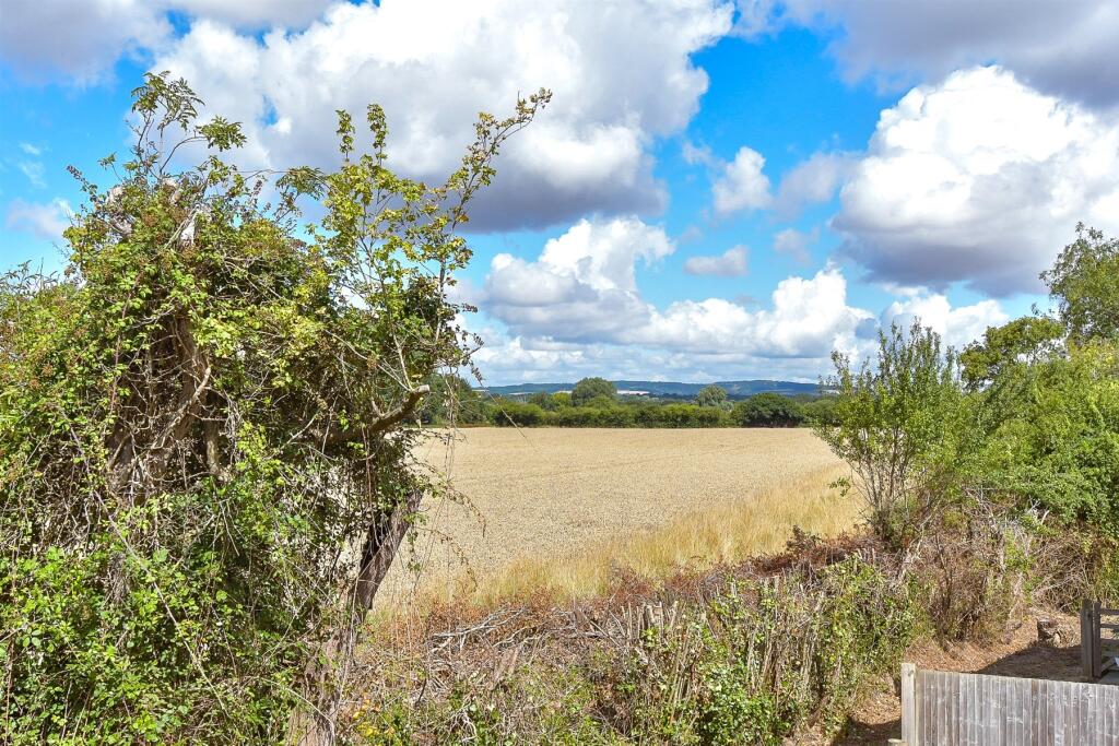 Surrounding Area