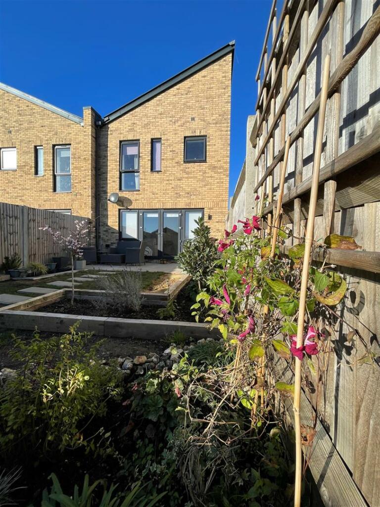 garden 2.jpg