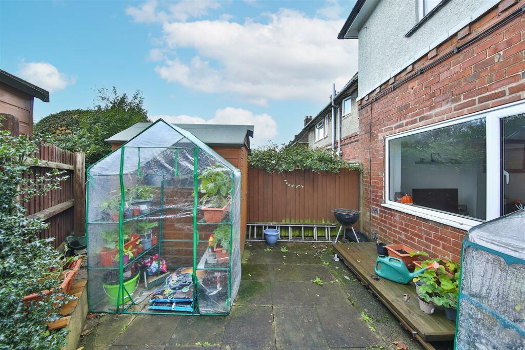 Rear Yard.jpg