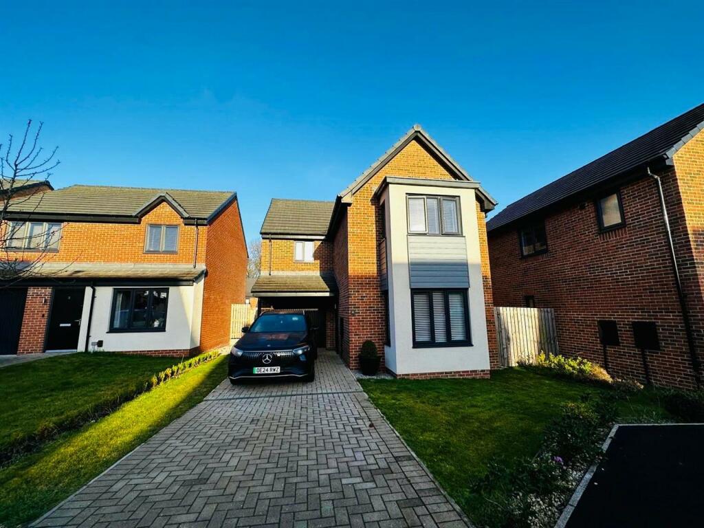 WhatsApp Image 2024-11-15 at 11.08.46 (9).jpeg