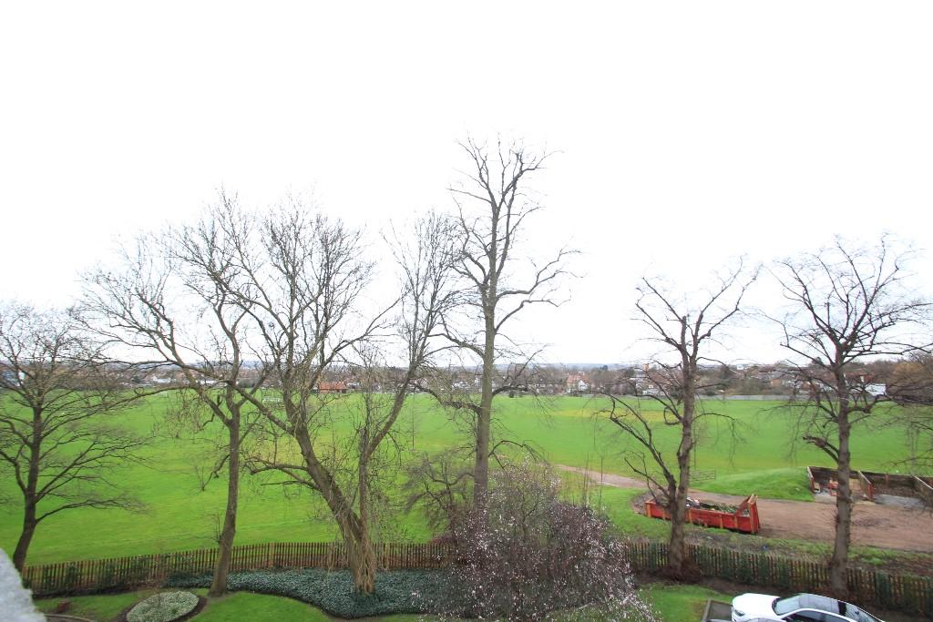 Communal Garden
