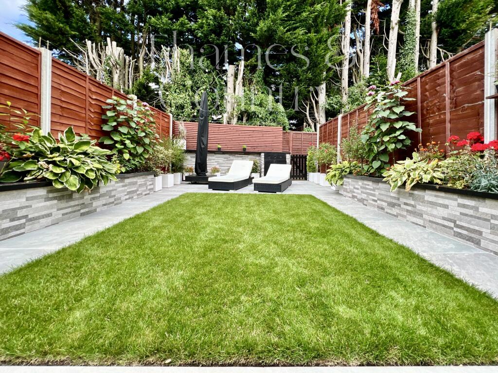 Back garden